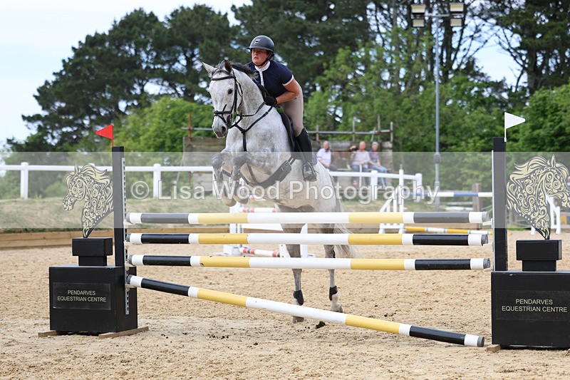 3E7A7577 - Class 8: Senior Foxhunter/1.20 open