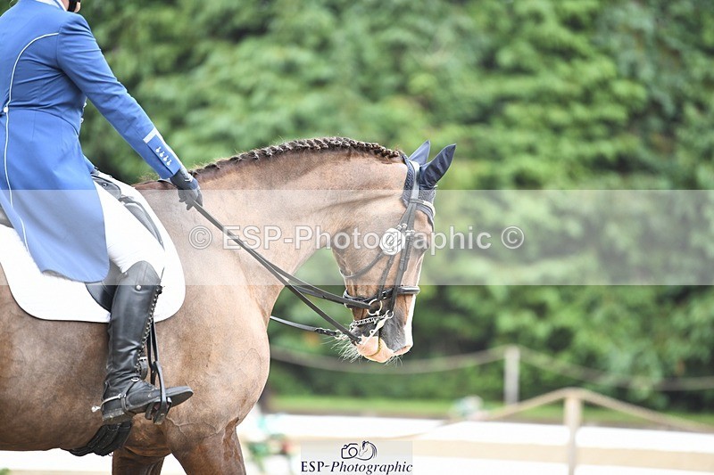 240720-160046-06333 - 142-Amberley_Pugsley-Hero_A