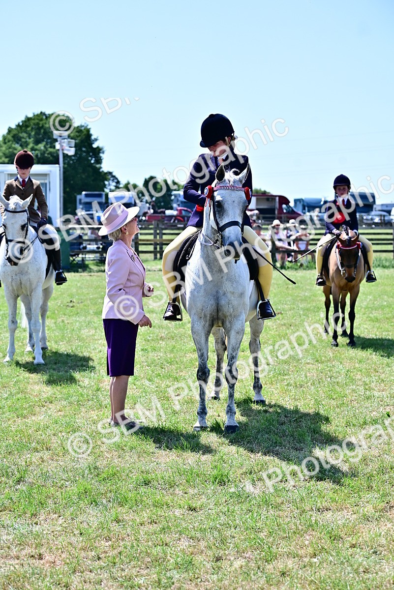 SBM_17566 - Class 95-97 - BSPS LHS Performance Ponies