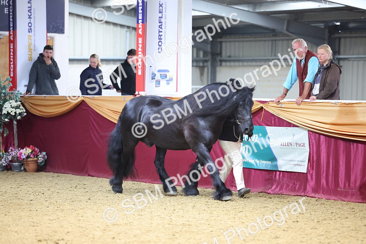 SBM_22820 - Class 903 - Supreme Final - IH Pre Vet