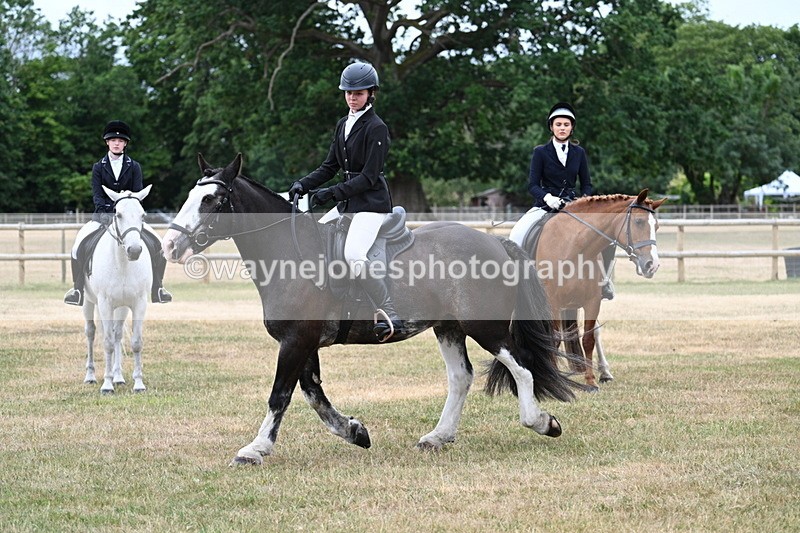 WJ7_0310 - Class 2 Best rider