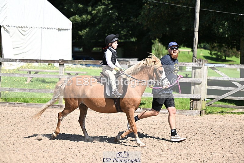 240729B-111815-02307 - Showjumping Competition