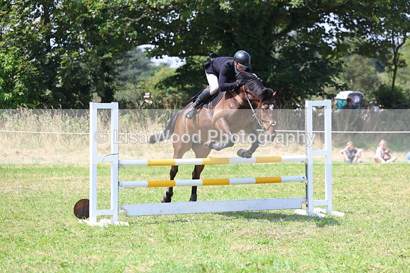 3E7A2872 - Class 7: Senior British Novice/90cm open
