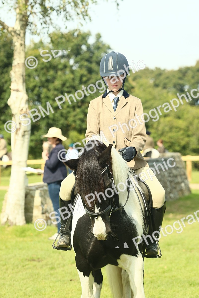 SBM_66663 - S34 - Rehabilitated Rescue Horse & Pony In Hand & Ridden