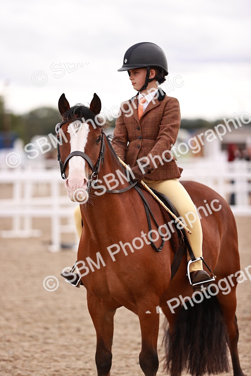 SBM_18488 - Class 420 - Ridden M&M