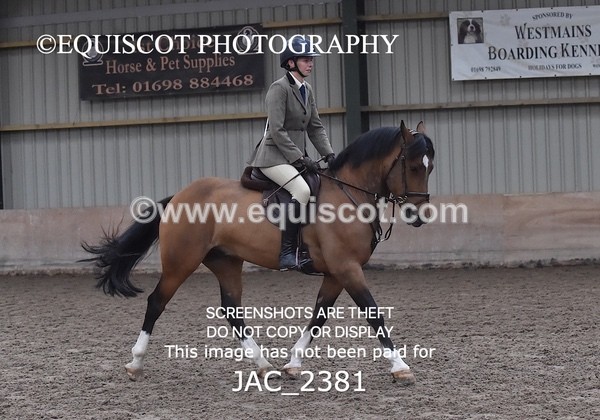 JAC_2381 - CLASS 3 Intermediate Working Hunter