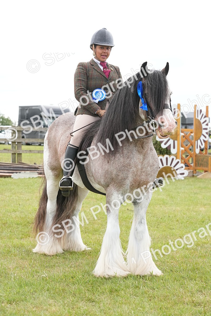SBM_17685 - Class 107-108 - LIHS BSPS Performance Coloured Horse Pony