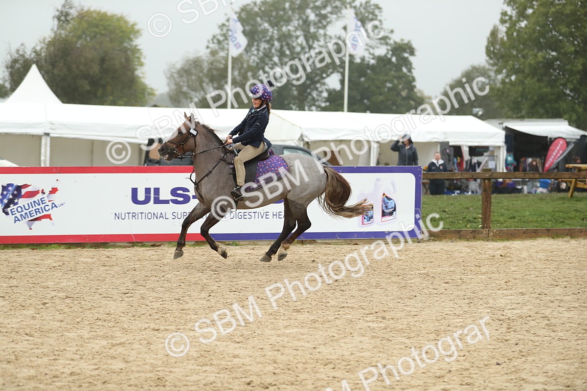 SBM_74151 - J16 - Junior Pony 75cm Championship