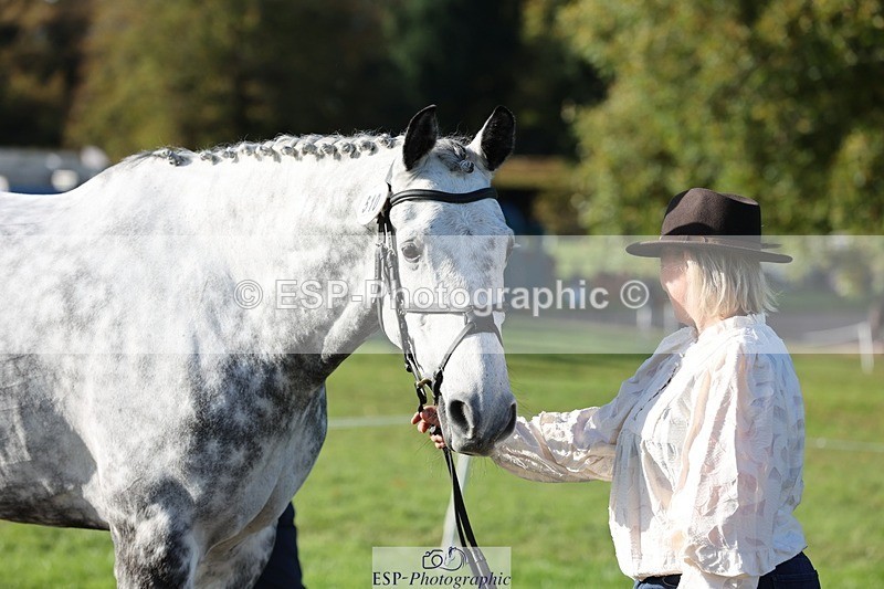 241027-100943-15724 - 510-Kathryn.Virjee-BROWNSTOWNS.SEAWATCH