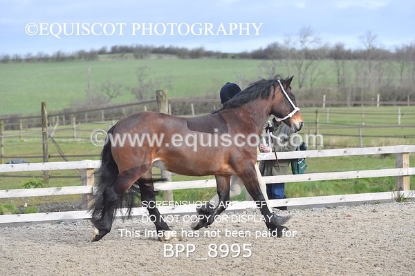 BPP_8995 - RING 2 - M&M