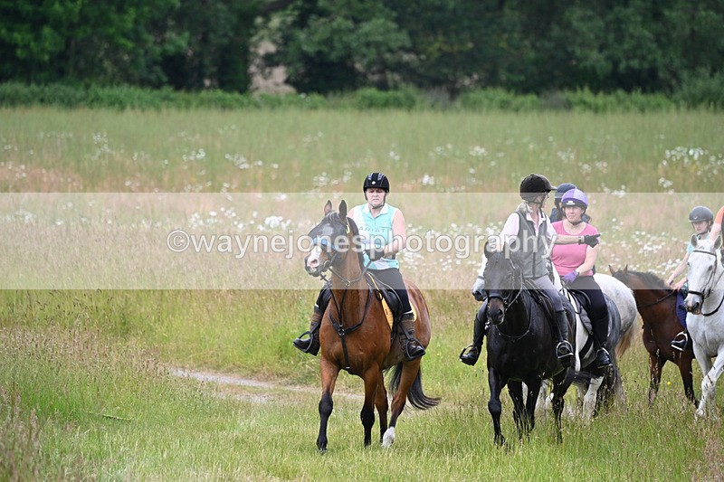 WJ6_8347 - Camera 1 Gallops