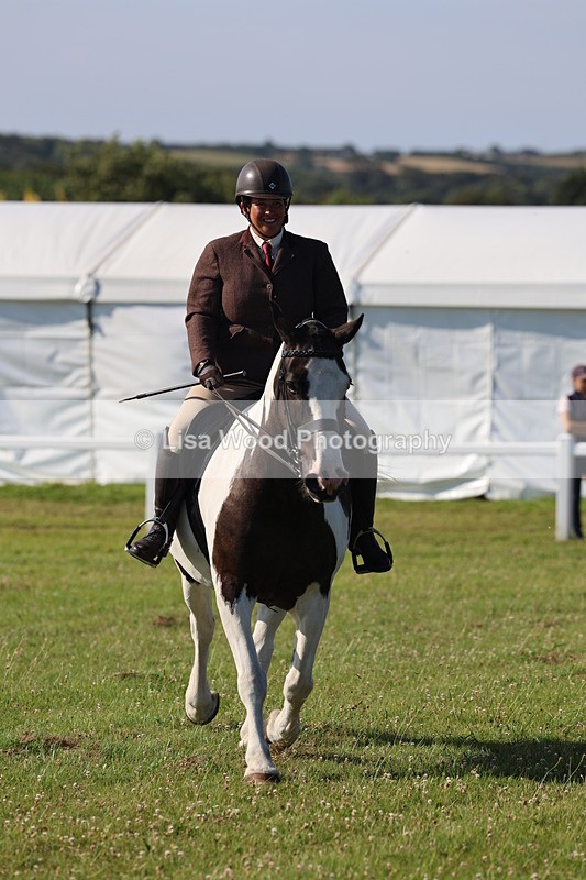 IMG_1515 - Class 30: Ridden Native/Trad Coloured Pony