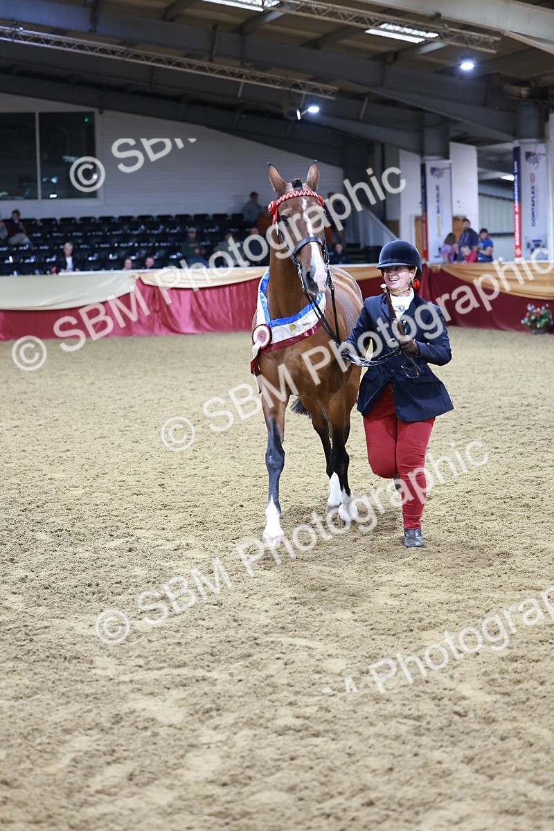 SBM_20158 - Class C - Novalty Champ