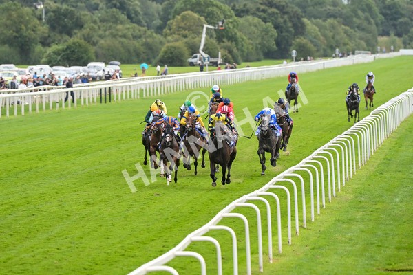 240824-Race 2-Tabletalk-1275 - Race 2 2.25pm Sky Bet Melrose Handicap