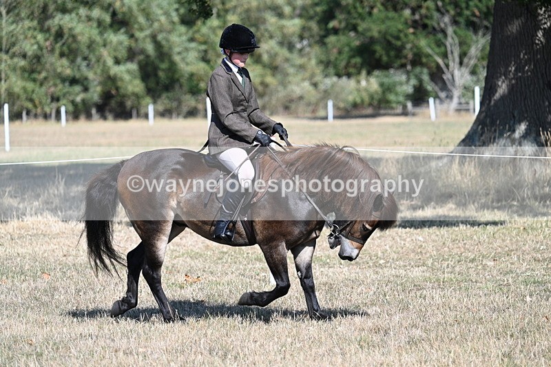 WJ7_3479 - Class 9 Mountain & Moorland Ridden