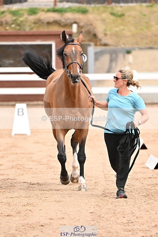 250716-150838-01678 - Trot Up 2.30 to 3.30