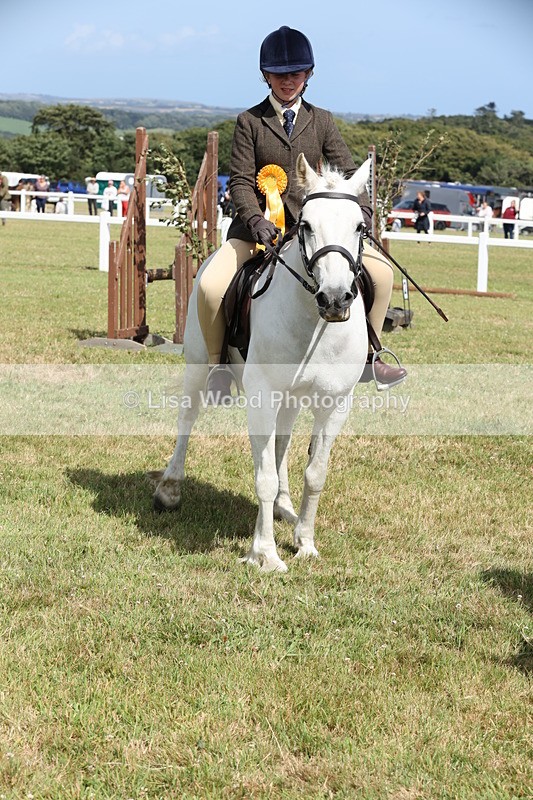 JPP_2457 - Class 19: Working Hunter 60cm