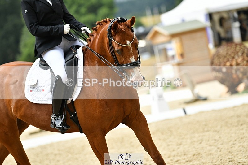 250718A-140732-01992 - 068-Stacey.Escrig-JOIE.DE.VIVRE.III