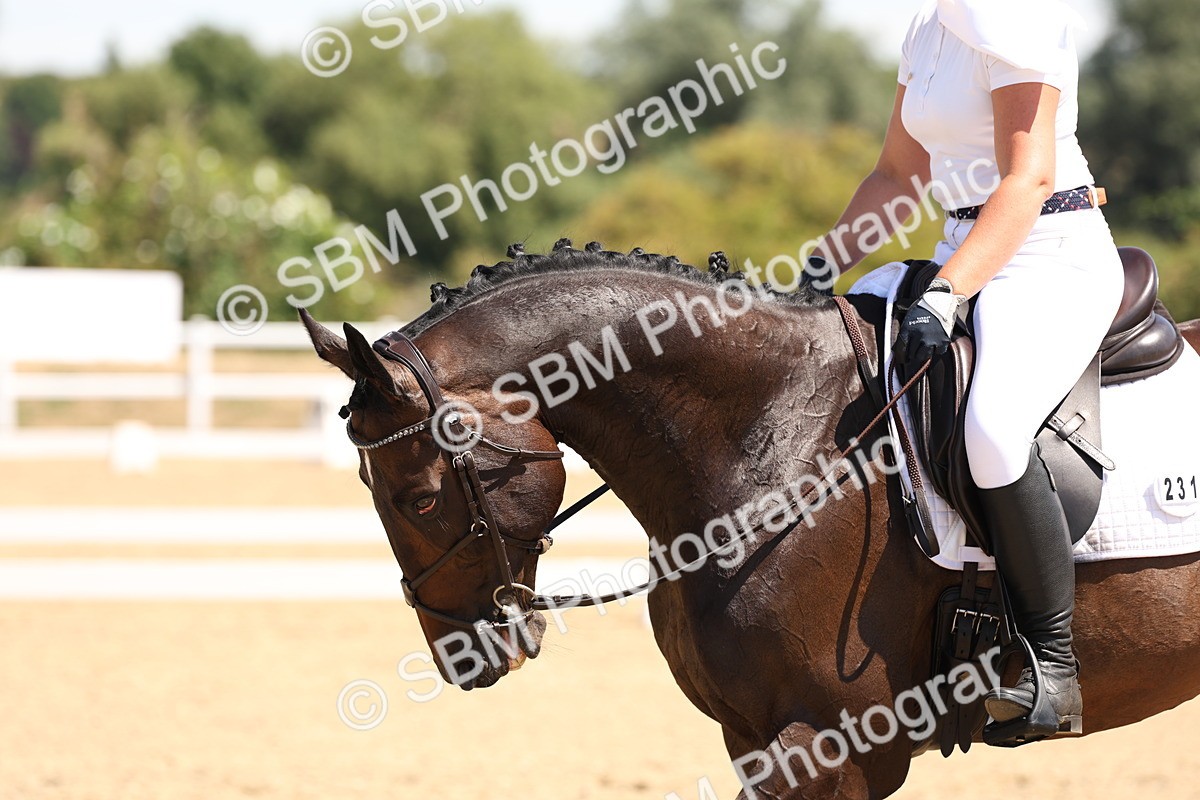 SBM_001291 - Intro 2