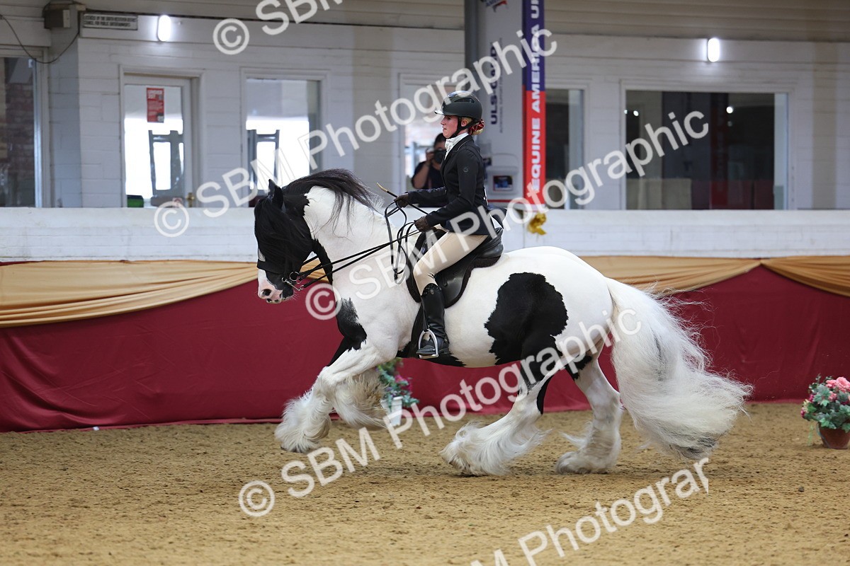 SBM_24399 - Class 906 - Supreme Final - Ridden Pre Vet
