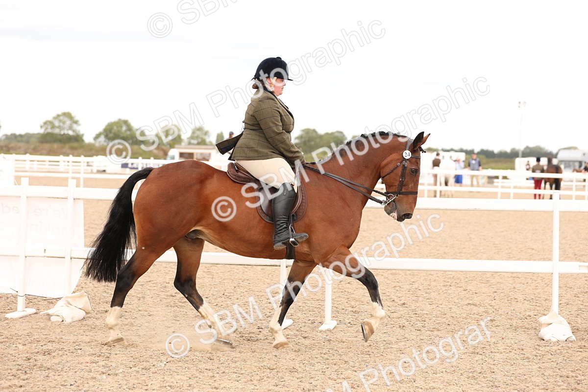 SBM_16478 - Class 212 - Ridden Hunter - Small