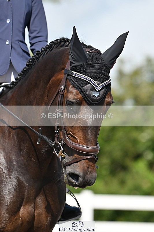 240621A-102245-01351 - Cls 4 BD Novice 22