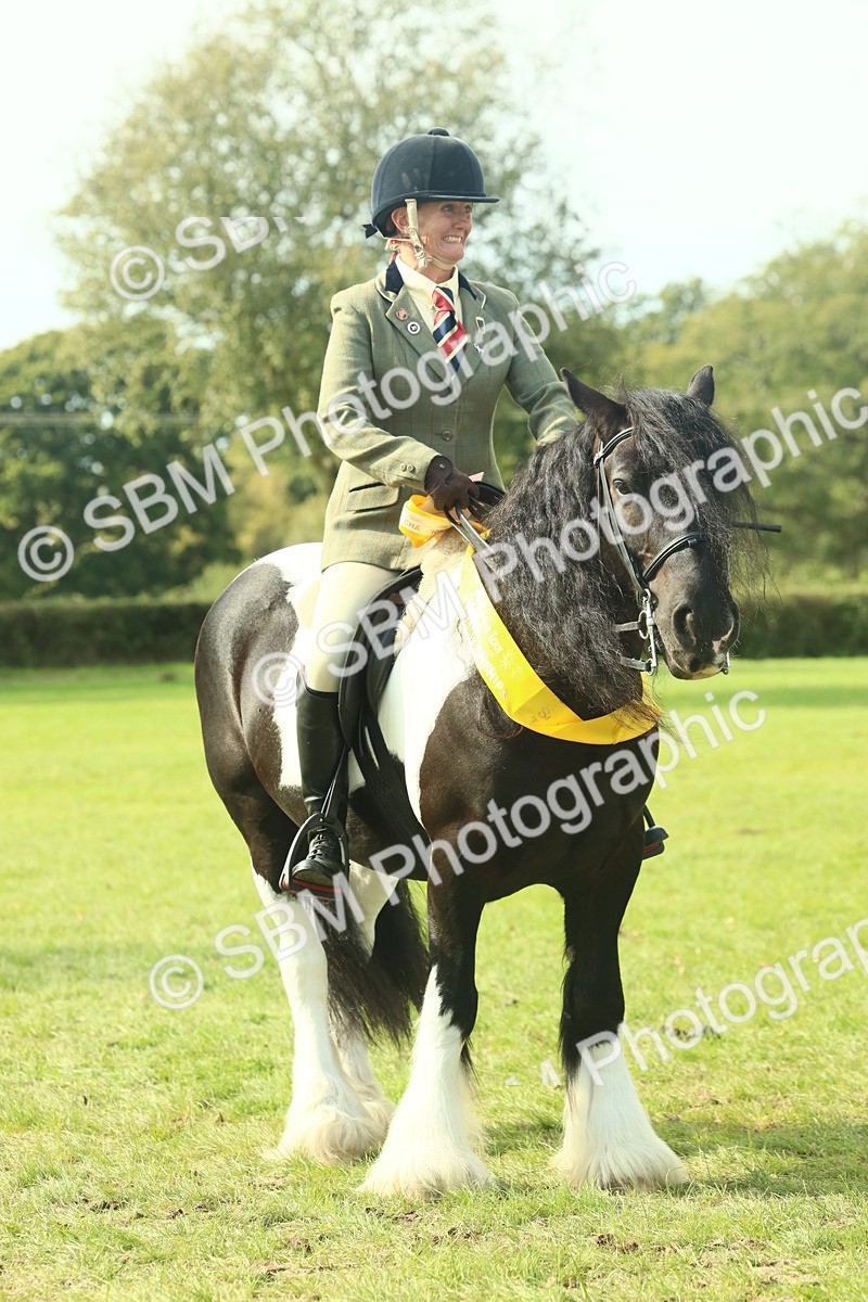 SBM_68967 - S58 - Mini Show Cob Ridden
