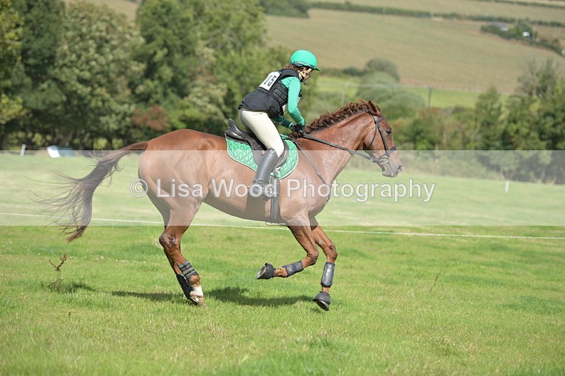 RAY_8713 - Class 2: Trekenning Open: Wall