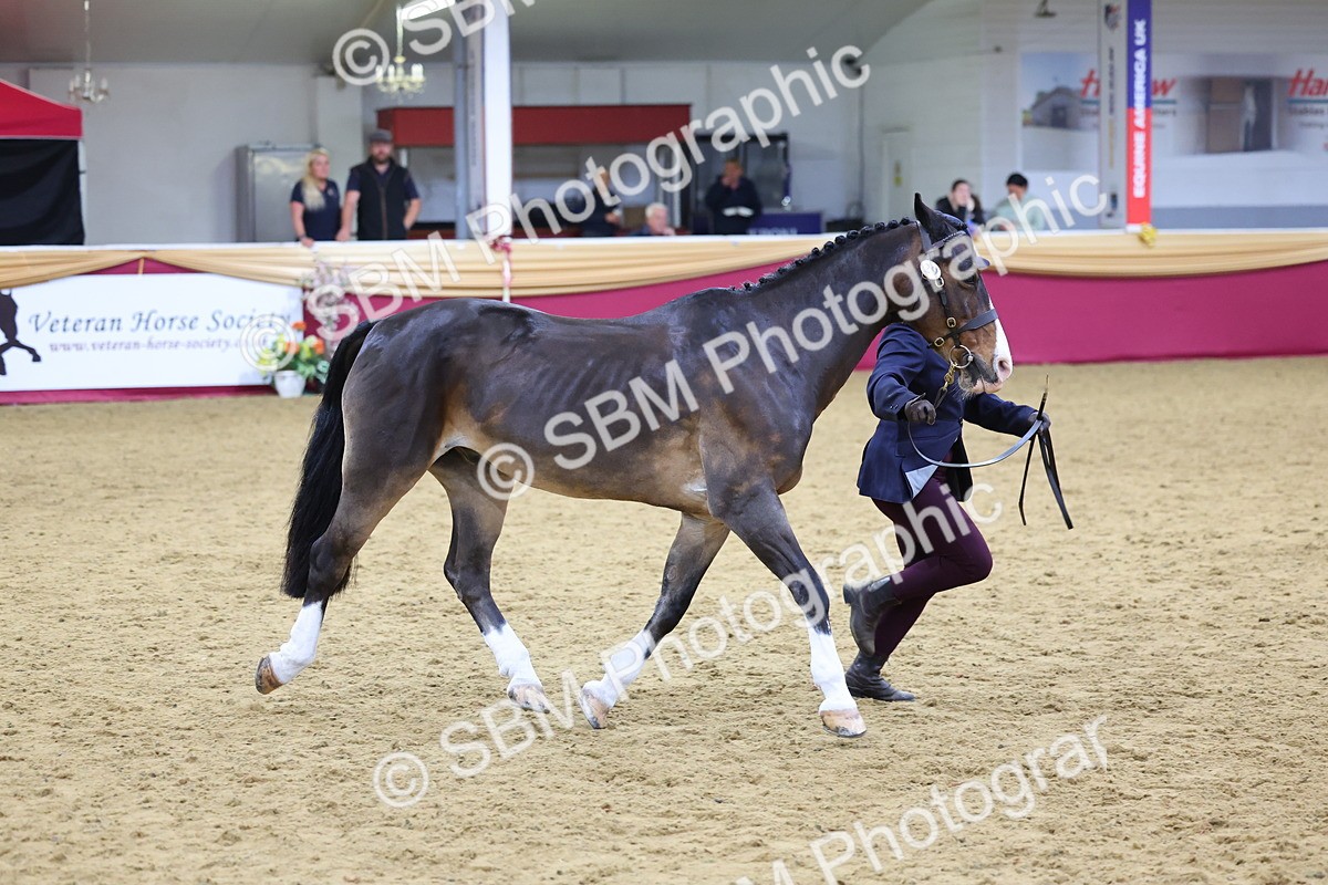 SBM_19544 - Class 901 - Supreme Final - IH Diamond