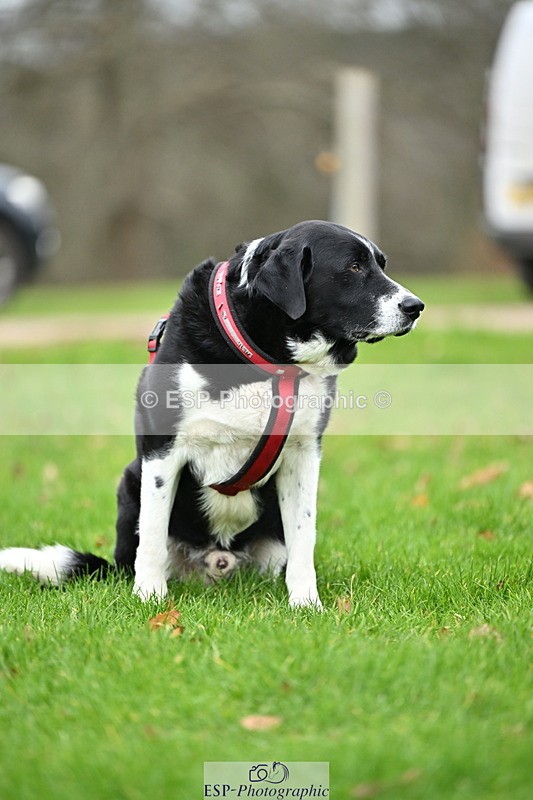 250201A-105907-00312 - Cls 02 Local Horse 100cm