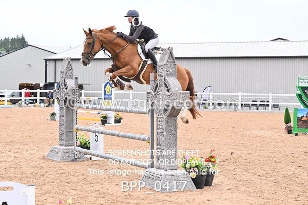 BPP_0417 - CLASS 27 SUN 6 Year Old Non Qualifier