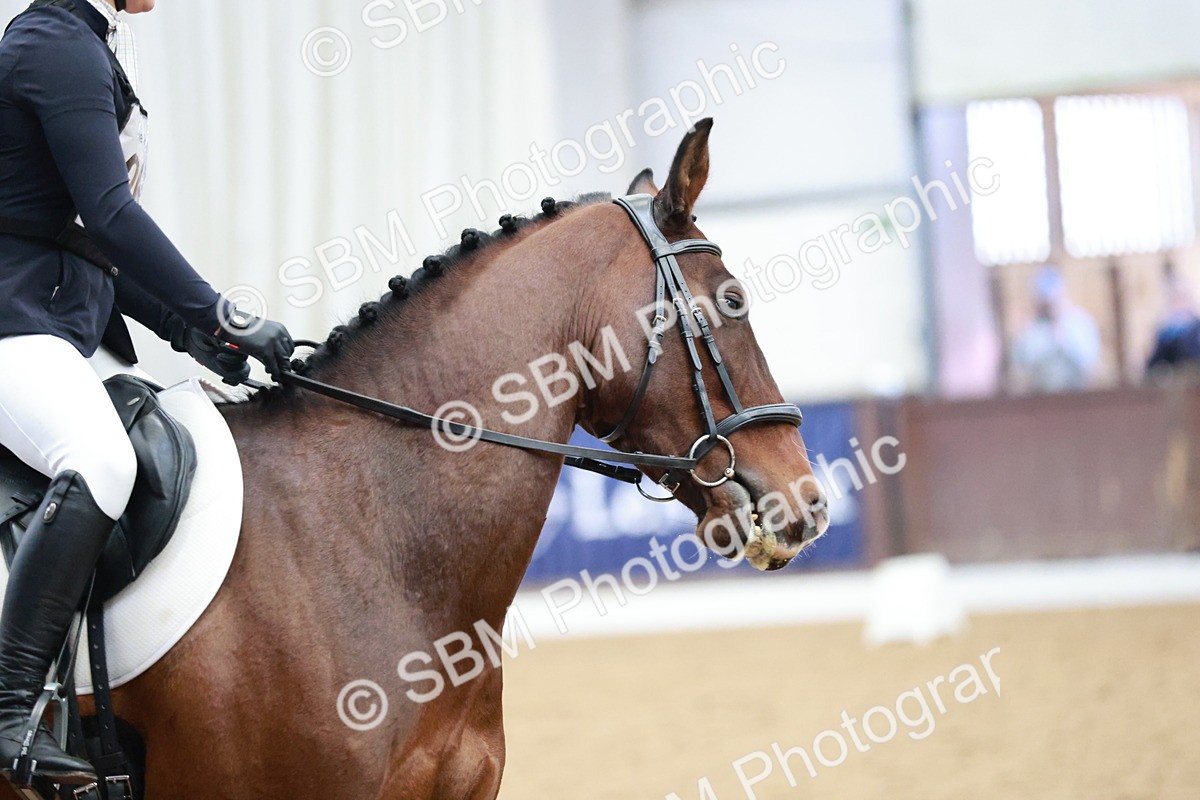 SBM_003989 - Class 2 - Novice 2020