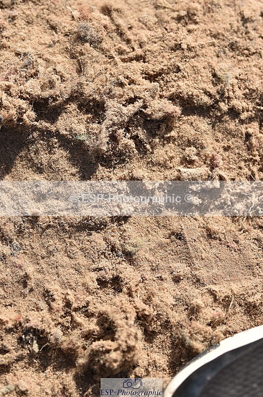 231015A-120934-07907 - Cls 24 85cm Amateur Q