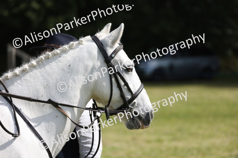 20260614-0657 - Class 20 - Beginners Working Hunter Pony