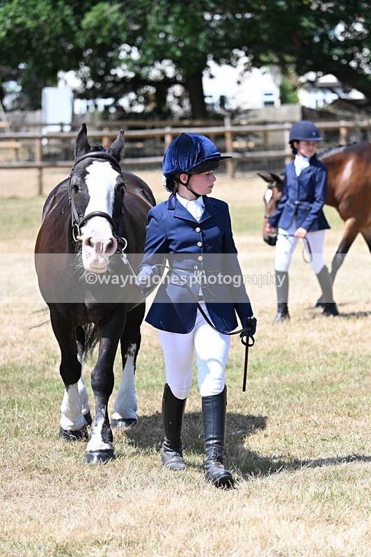 WJ7_2214 - Class 5 Most Handsome Gelding (up to 14.2hh) in hand