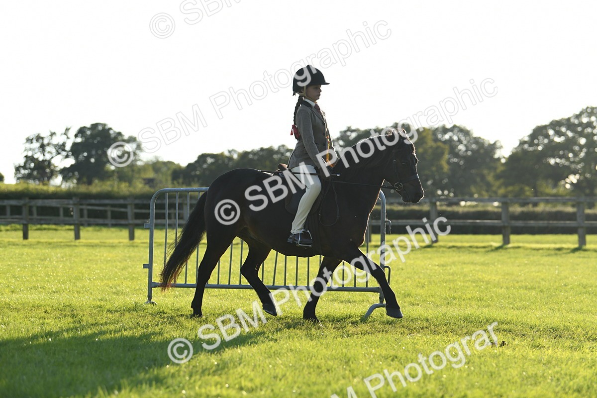 SBM_54215 - S23 - 1st Ridden Mountain & Moorland Pony