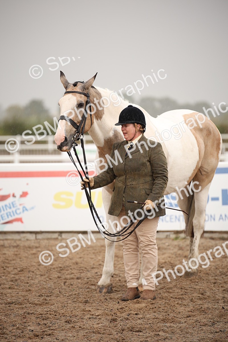 SBM_20666 - Class 705 - IH  Combination 65+