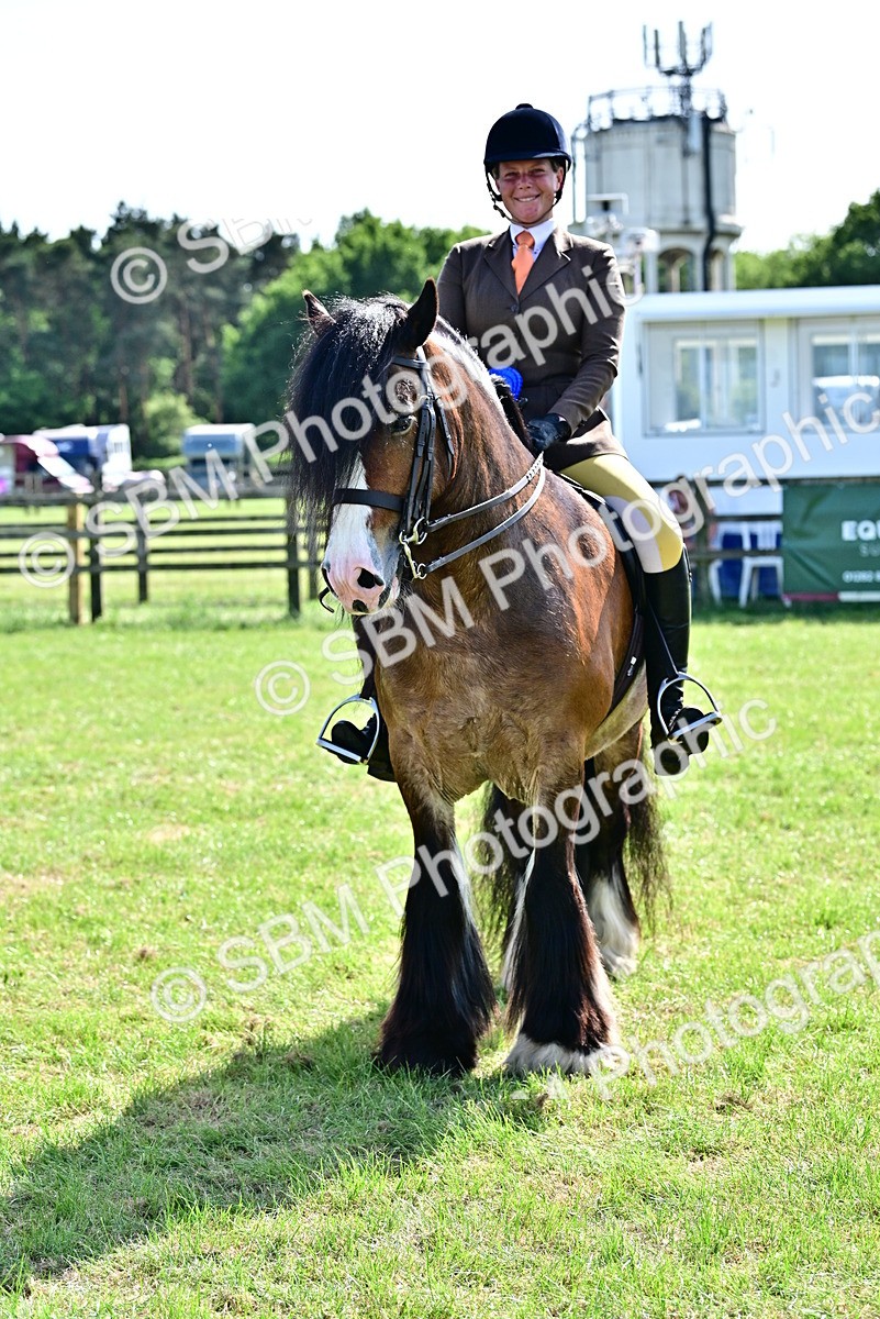 SBM_09428 - Class 63-65 - Traditional Gypsy Cobs In Hand & Ridden