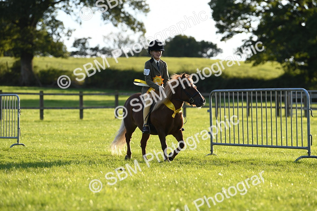 SBM_54197 - S23 - 1st Ridden Mountain & Moorland Pony