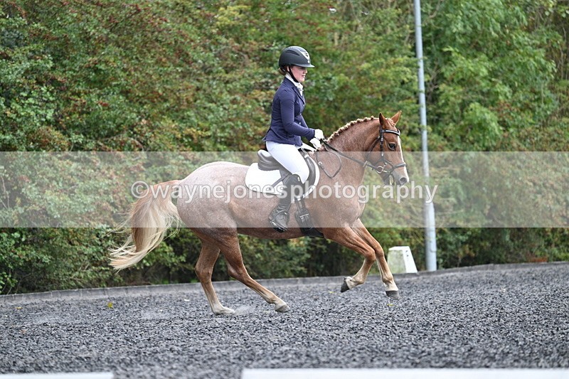 WJ7_3750 - Time 11:04 to 11:38