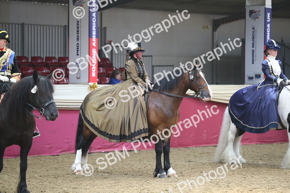 SBM_12045 - Class 106 Ridden Costume- Astride Adult (15-19)