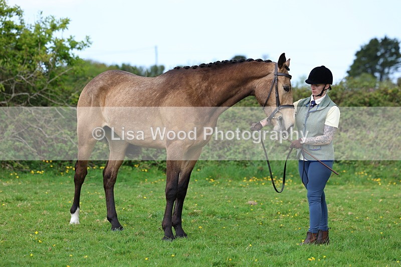 3E7A0520 - Class 20: Sports Horse