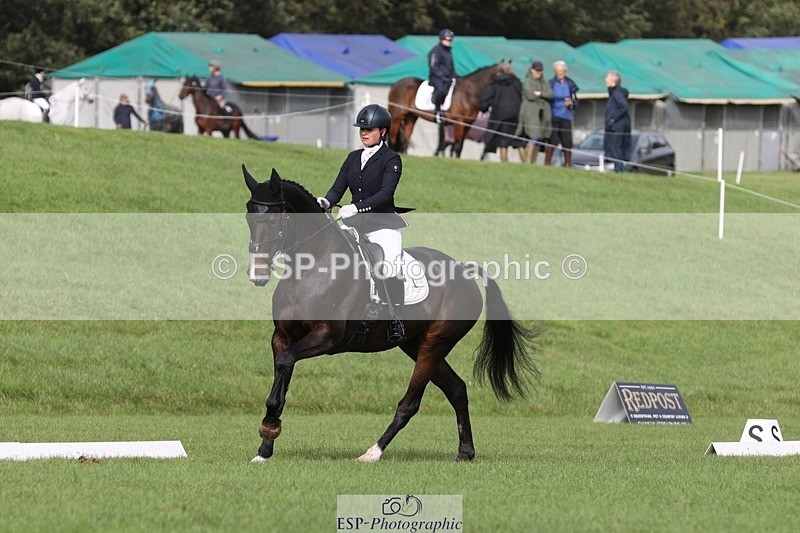 231019-123620-03705 - 632-ANGELL'S.CHOICE-Saffron.Cresswell-DR