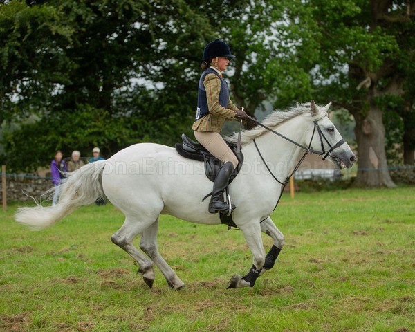 Dunblane show-562 - Dunblane and Doune Show Ring 1