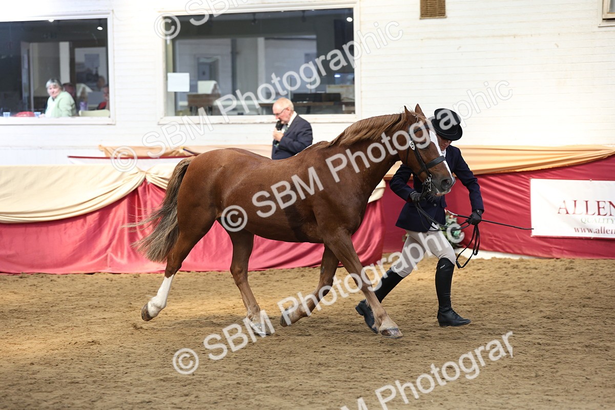 SBM_23589 - Class 904 - Supreme Final - Ridden Diamond