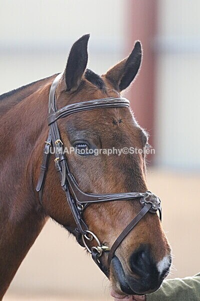 SIAL0117 - Indoor Classes