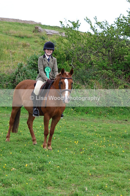 3E7A1923 - Class 9: Riding Club Horse/Pony