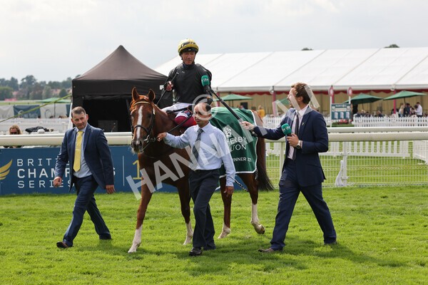 yr20082021r2-78 - Race 2 2.25pm Weatherbys Hamilton Lonsdale Cup (British Champion Series race)