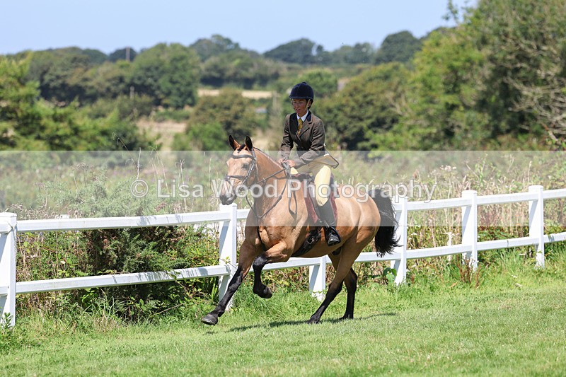 3E7A8998 - Class 6: Open Working Horse