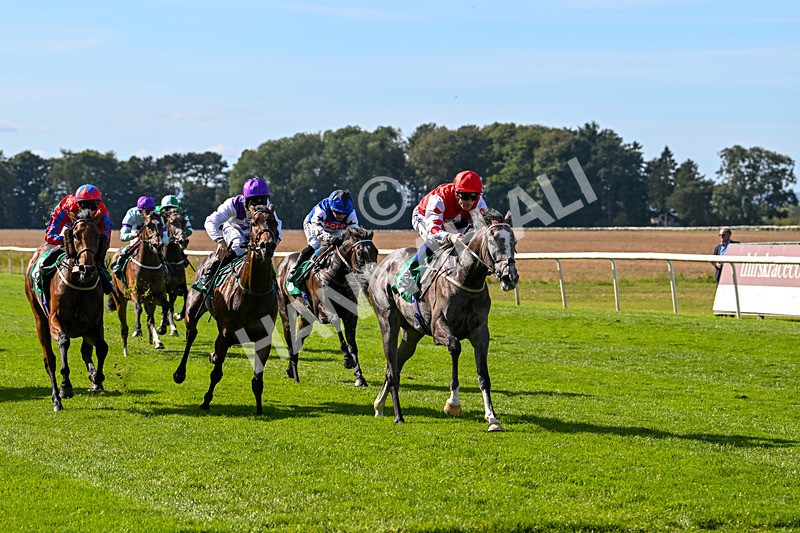 160924-Race 2-Magic Love-2639 - Race 2